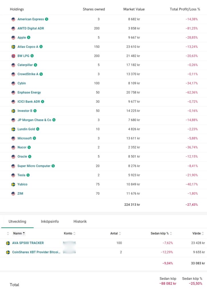 My portfolio performance june 2025